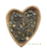 Семена тыквы штирийской голосеменной (Россия) / 1 кг