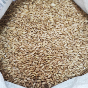 Ячмень голозёрный "Алтайкрупа" / 1 кг