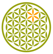 Сироп из цикория - жидкая клетчатка (пребиотик, без сахара) "Дары Памира" / 1 л