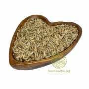 Рожь для проращивания БИО "Шугуровская" / 5 кг