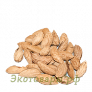 Миндаль сырой в скорлупе (Таджикистан) / 10 кг **