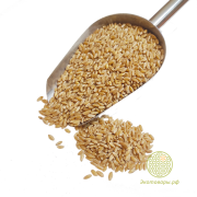 Пшеница твёрдых сортов "Алтайкрупа" / 1 кг