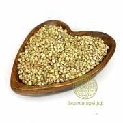 Гречка зелёная живая (непропаренная) Алтай / 5 кг (Акция -20%)